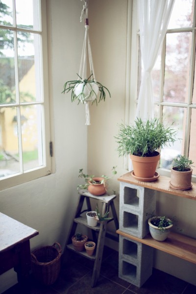 kinfolk_10-tips-for-the-black-thumb_web-48