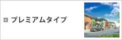 プレミアムタイプ